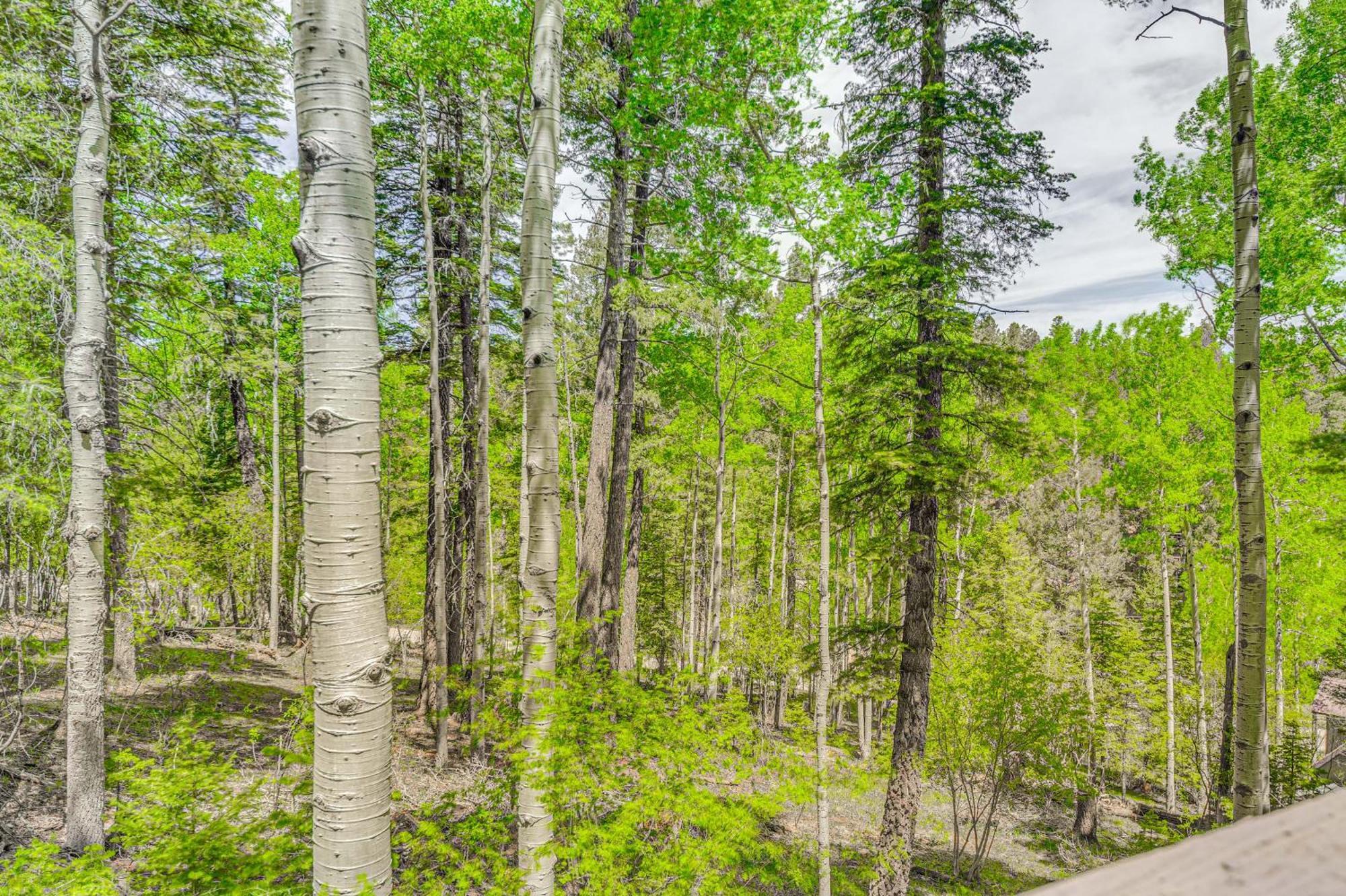 Quaint Cloudcroft Cabin With Stunning Forest Views! المظهر الخارجي الصورة